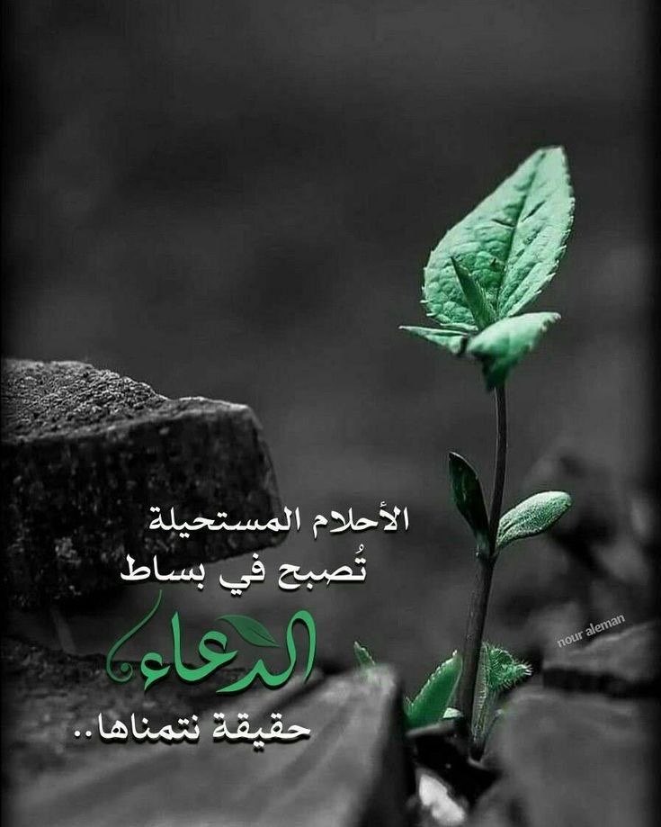 بدأت حياة يوسف عليه السلام بحلم وانتهت بحقيقة، وكذلك أحلامنا ستكون بإذن الله💜#مساءالخير