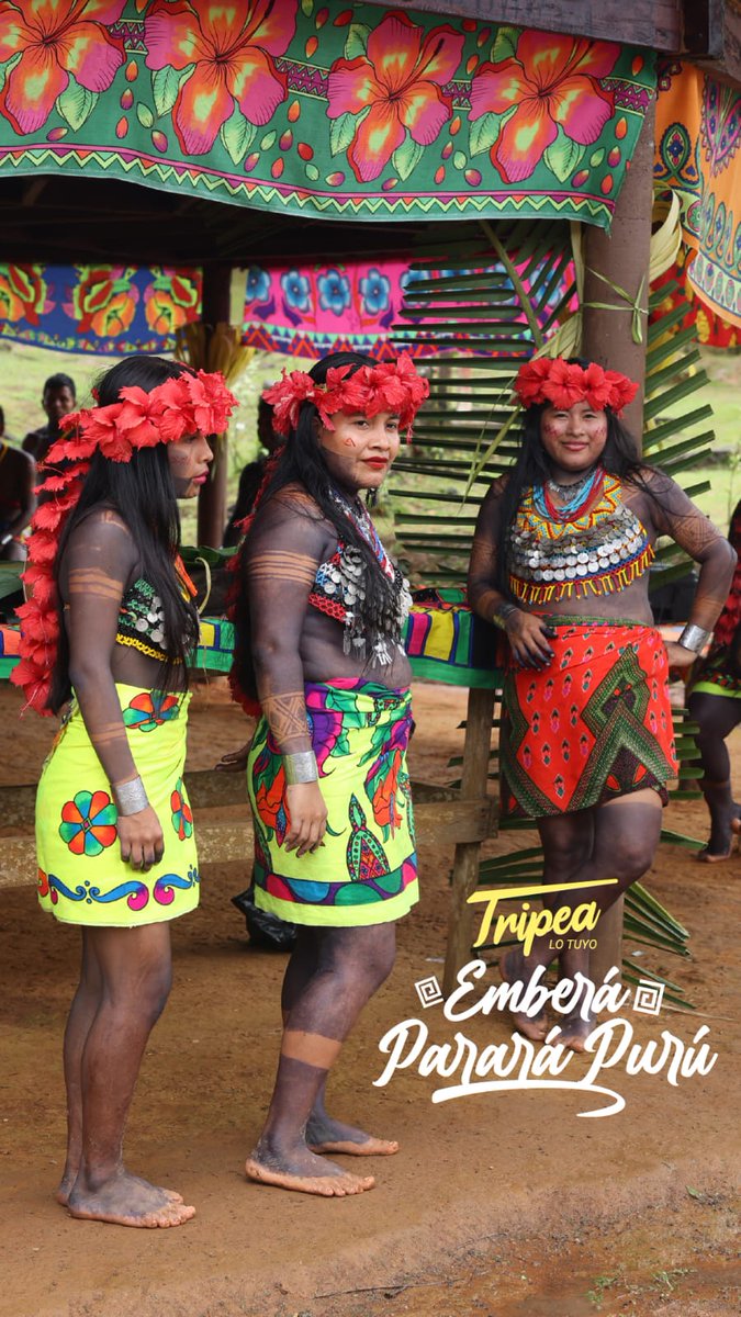 Vive Panamá Tours your local tour operator contact us WhatsApp +507 6948-2563