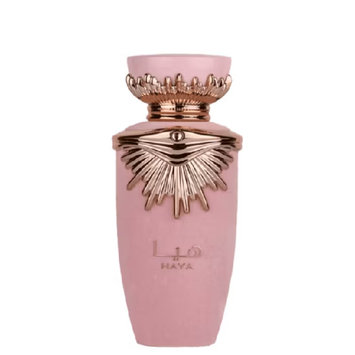Arisha_Mello's tweet photo. Haya Rosa Perfume Árabe Feminino 100ml - ÚLTIMO DIA DE PROMOÇÃO

https://t.co/6lYz7ljosK

#Perfume #perfumearabe #achadinhos #shop https://t.co/D7yAwjFekU