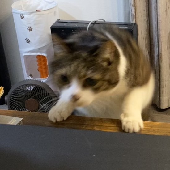 弱くなった部分を補うように(過去日記)