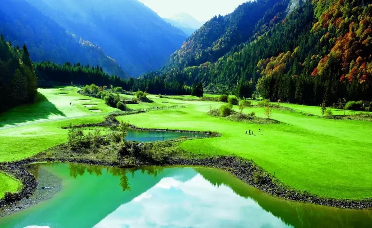 British & International Golf Greenkeepers Assn. tweet media