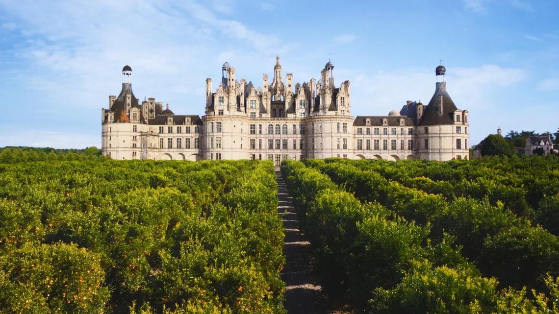 SergeZaka's tweet image. 🎬 Ce soir vous devez tous être devant la télévision à 21h sur France 2 pour voir "France : il était une fois demain" de Michael Pitiot. Et pourquoi pas une orangeraie à Chambord ? Dans fruitiers dans les cultures dans le Beauce ? De la mangrove à Montpellier ? Un sol plus vivant…