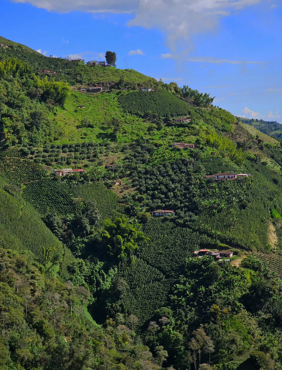 Driss Ghali tweet media