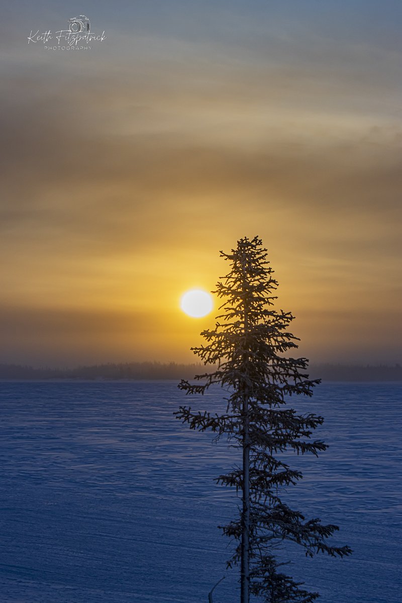 Keith Fitzpatrick tweet media