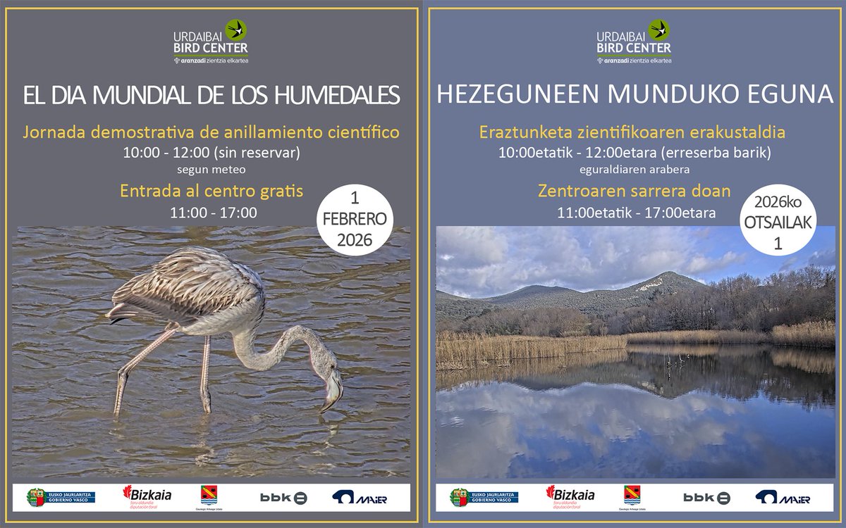 Urdaibai Bird Center tweet media