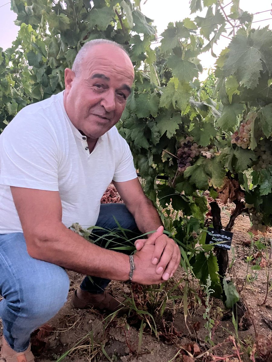 @gibadda tweet media