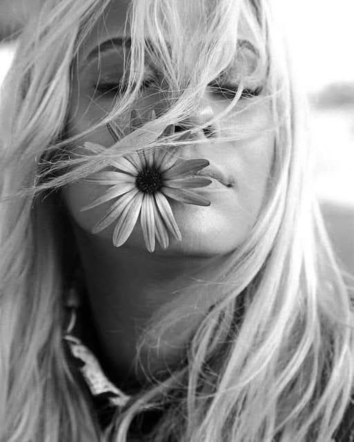 Si algo he aprendido es que se puede huir de todo, menos de lo que siente el corazón.

Feliz día mundo