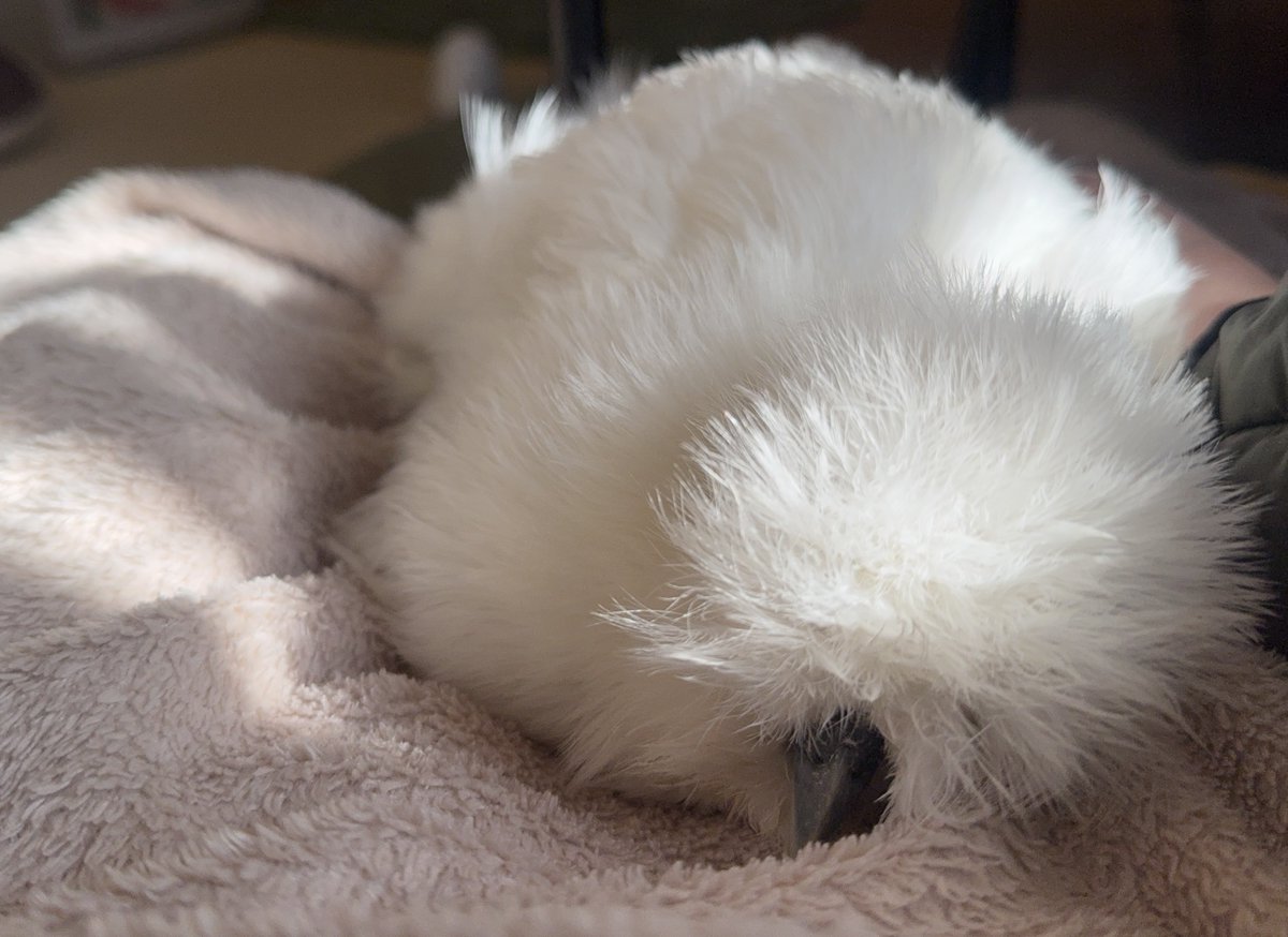 毎日抱きしめて 大好きだよ、私の世界一の宝物なんだよって言ってる
言葉は伝わらないけど…