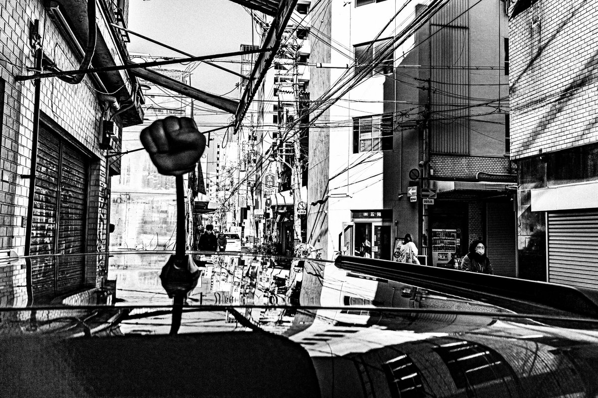 braincellsinapetridish tweet media