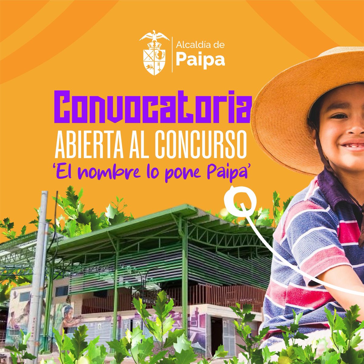 Alcaldía de Paipa tweet media