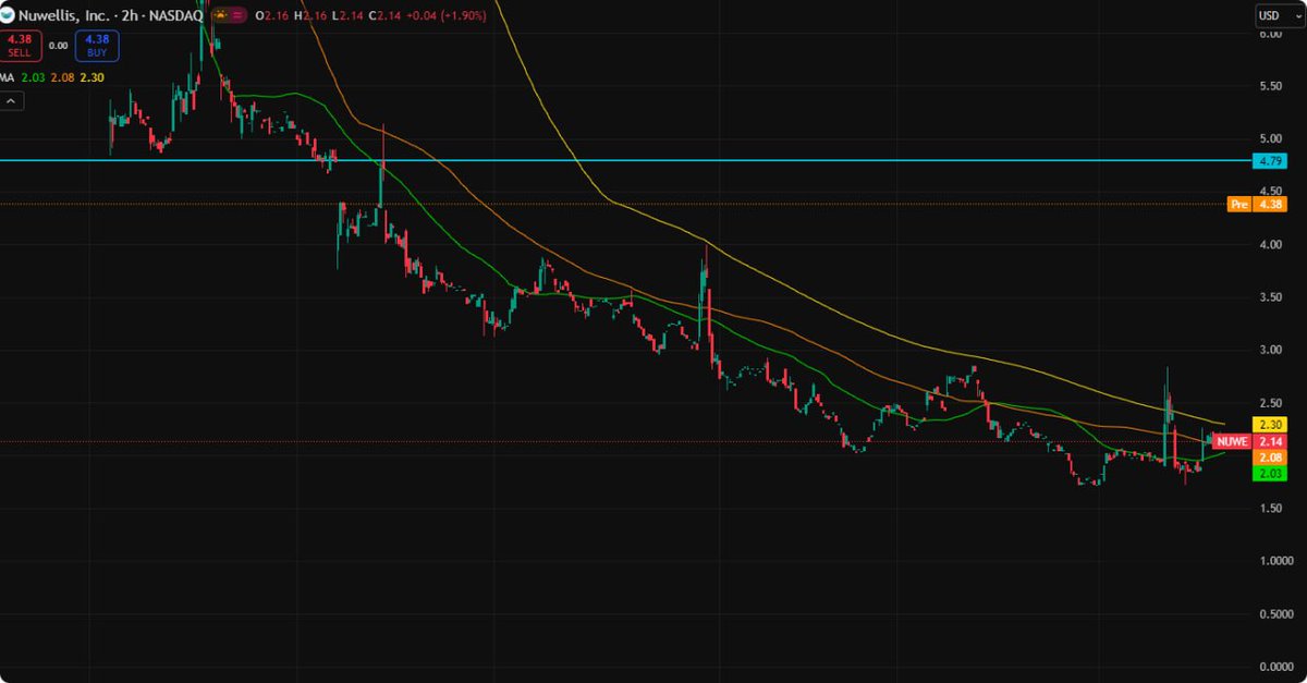Isabella Rahman tweet media