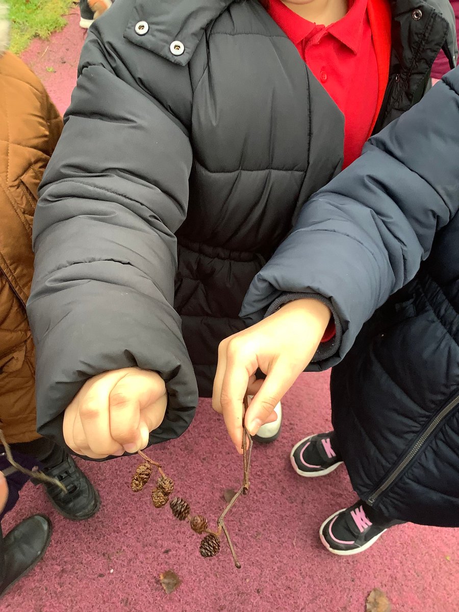 Brackenhill Primary School tweet media