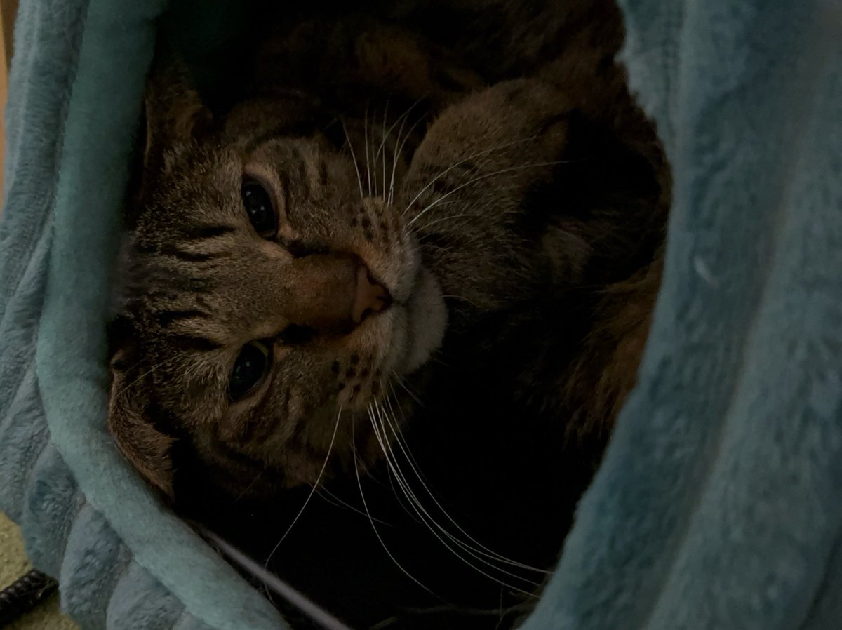 お誕生日でした🎂
今年もたくさんの方にお祝いしていただいて感無量です！

毎年言ってる気がするけど、無理せず自分らしく生きます！
ミルくんのように！