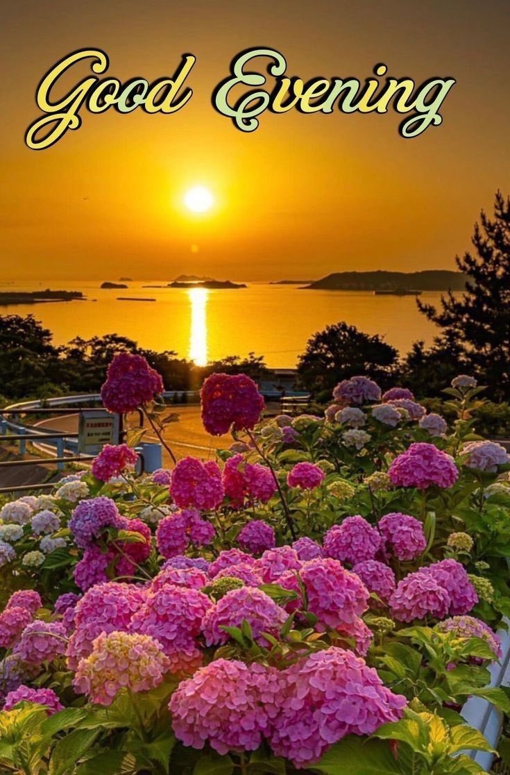 Hello 
X Family
Good evening