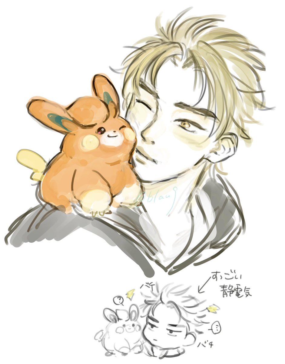 うちのけーちけはﾊﾟﾓｻﾝのトレーナーという架空の世界線が存在するんで定期的にこういう落書きします