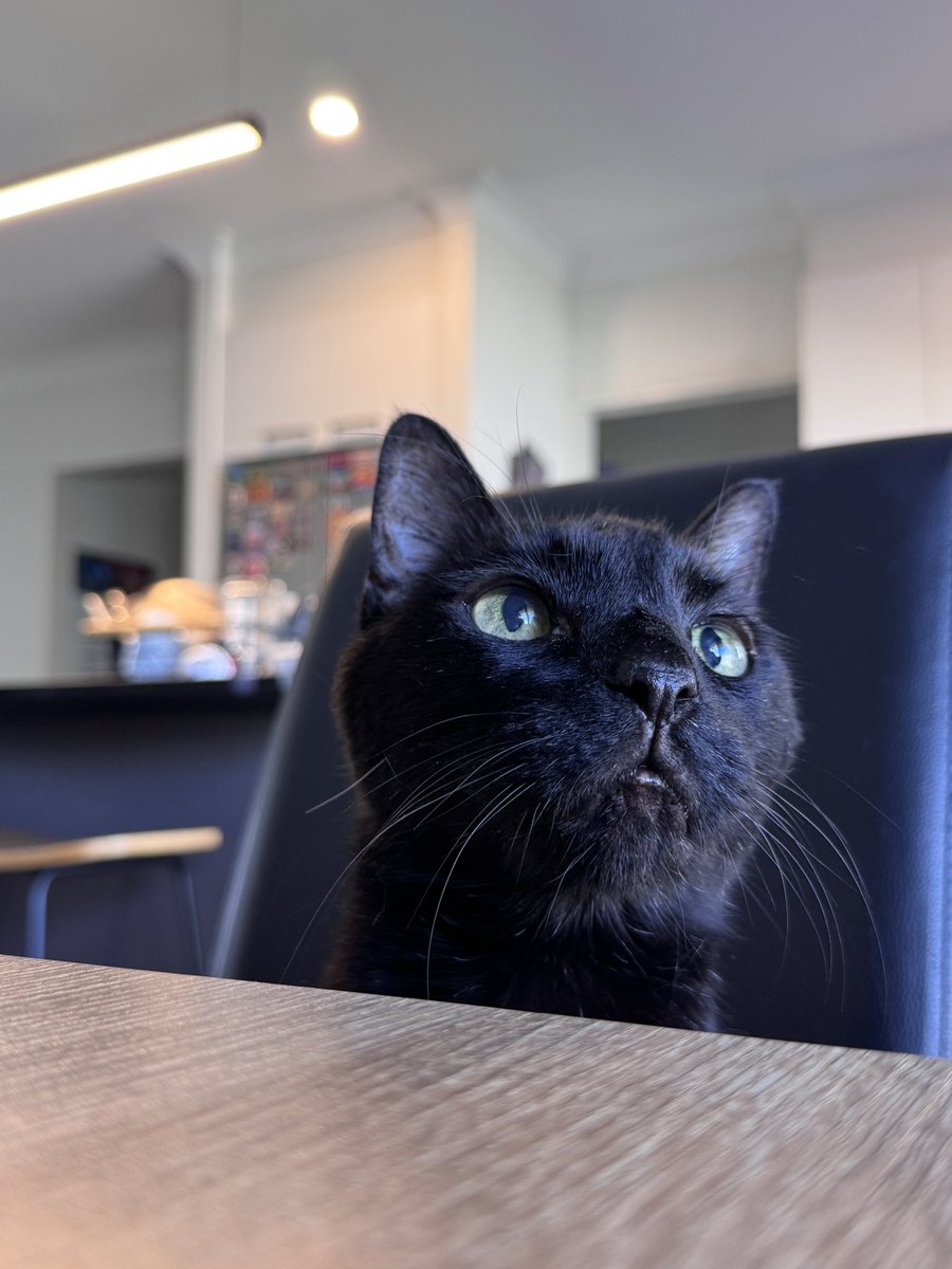 Eleanorsaur tweet media