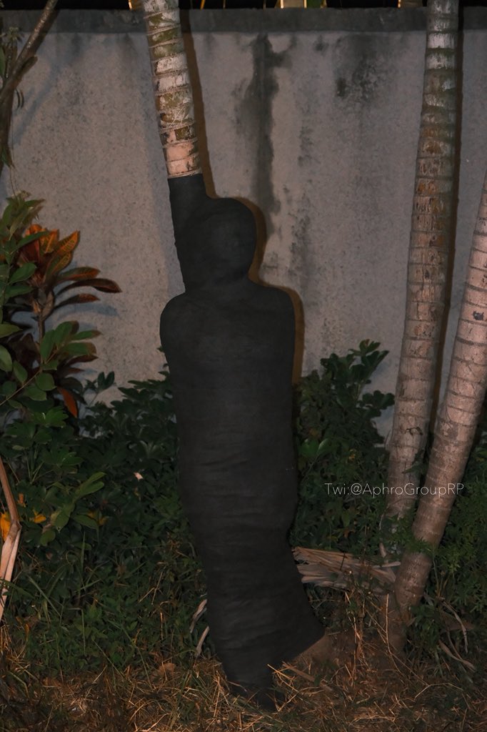 庭院里的静物+1🤣

#拘束 #束缚 #bondage #全包 #木乃伊 #放置 #mummy #mummified #mummification #物化
