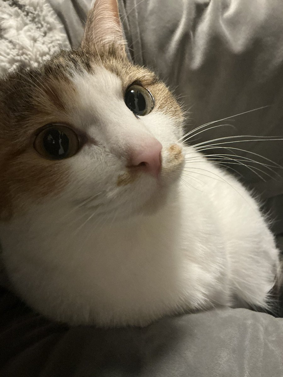 さっきまで眠掛けしてたのに目がぱっちりやで