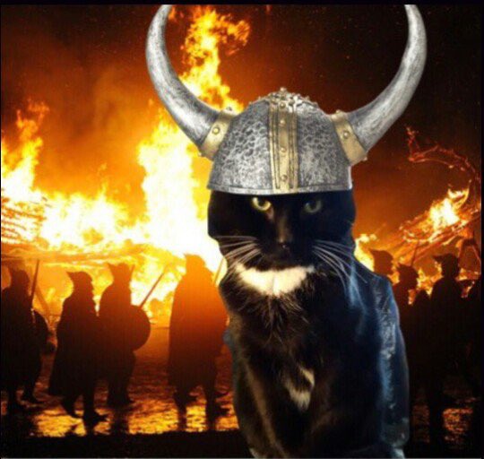 Pieps🐭 Theo🐻Björn🐻Winifred🐻Trix🐻 tweet media