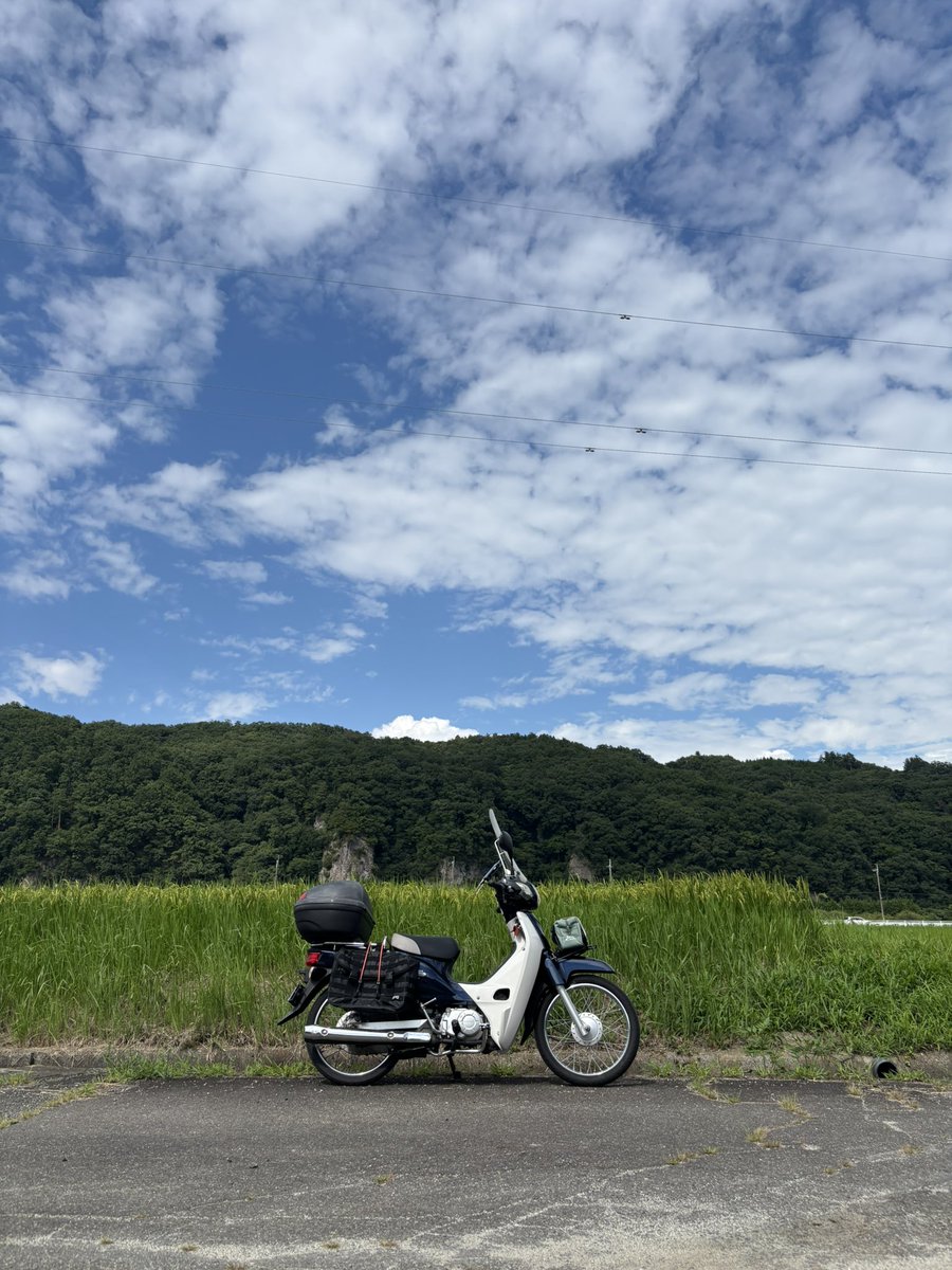 xof_kmkm's tweet photo. 【こてい】絵描いてバイク乗ってます https://t.co/ntnRqK5kof
