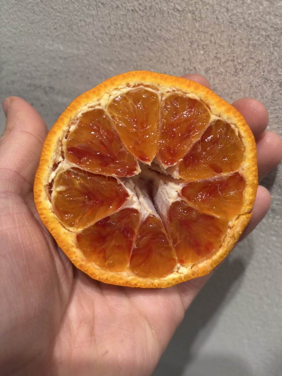 みかんノート (@mikanflavor1) / Posts / X