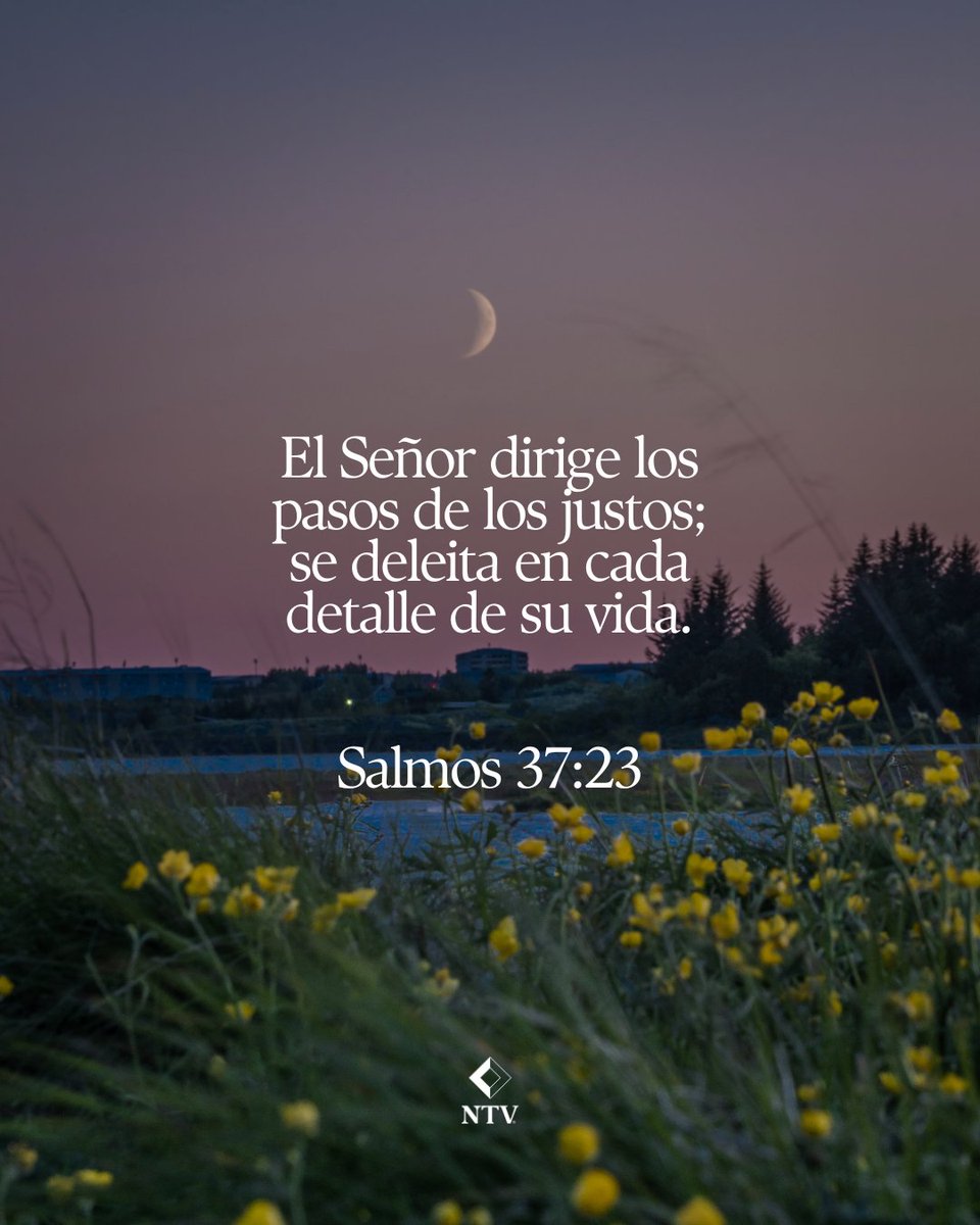 Cuando confiamos en Dios, incluso nuestros pasos más pequeños tienen dirección.

Leer la Biblia nos ayuda a caminar con seguridad y fe.

#NTV #Biblia #FeCristiana #VidaCristiana #VersiculoDiario #JovenesCristianos
