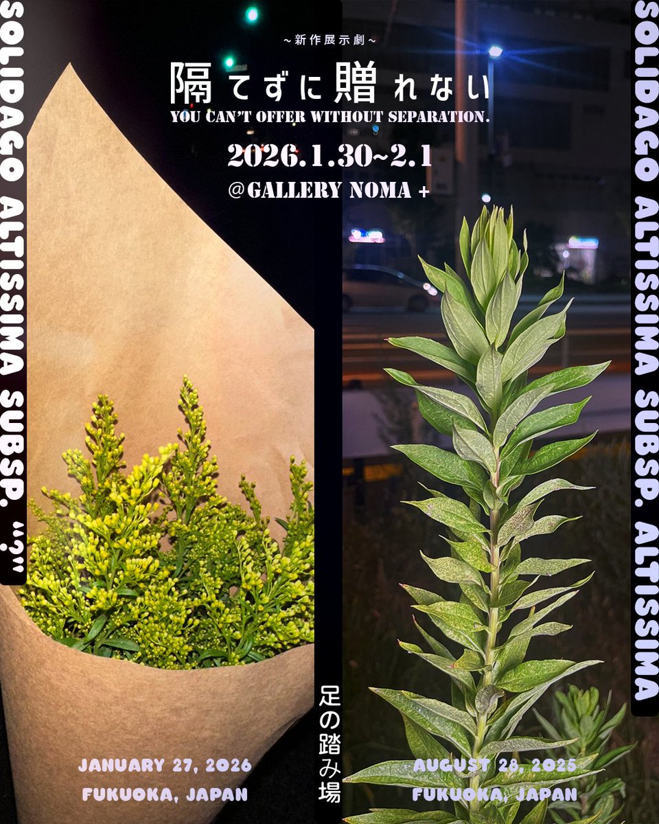 abelest ⊂ 足の踏み場 tweet media