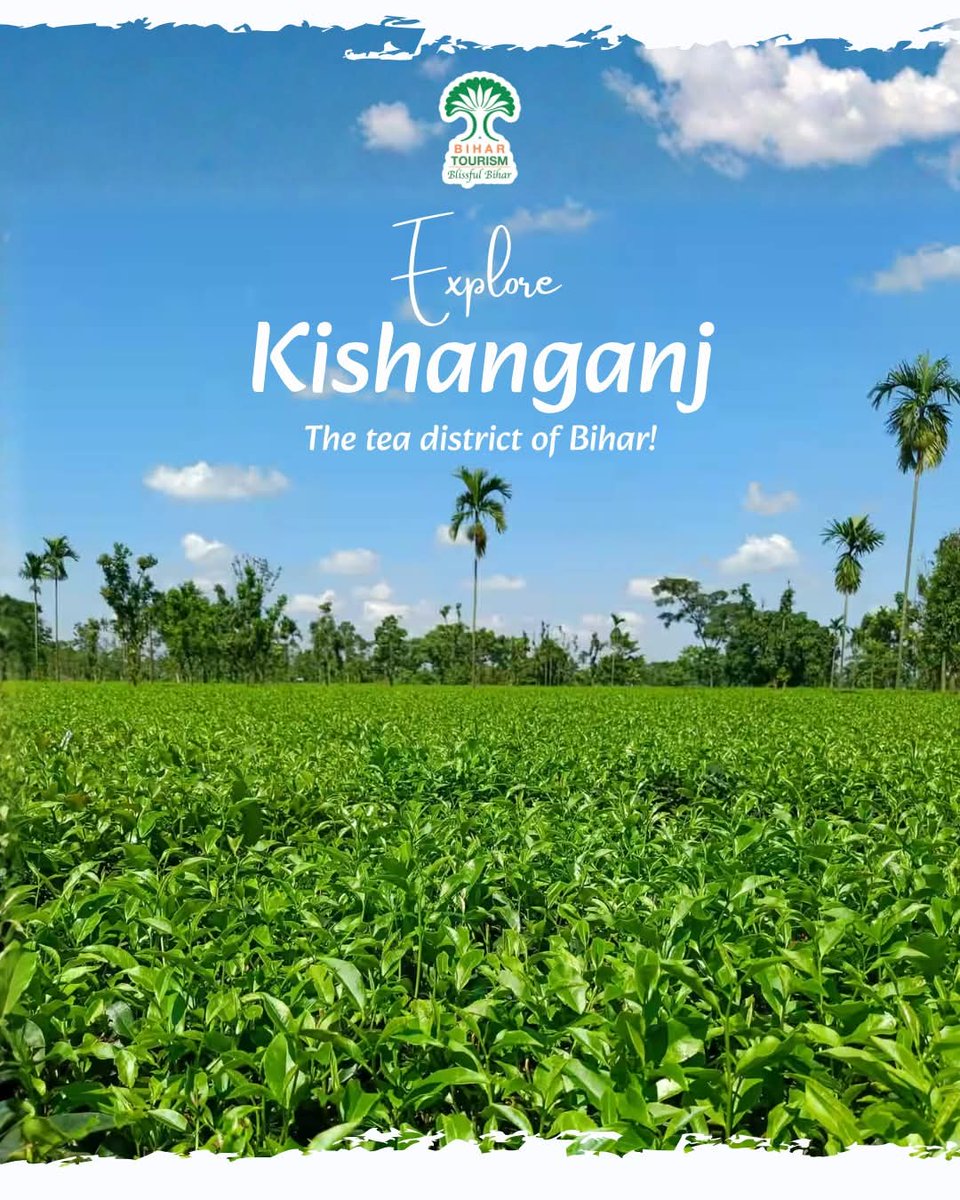 Did you know ?
Bihar has its own tea farm ..Visit Kishanganj🥰

#TeaFarm #Tea #Chai #Chailover #Kishanganj #Bihar #Bihartourism #viral #trend #exploremore #IncredibleIndia #travel #travelgram