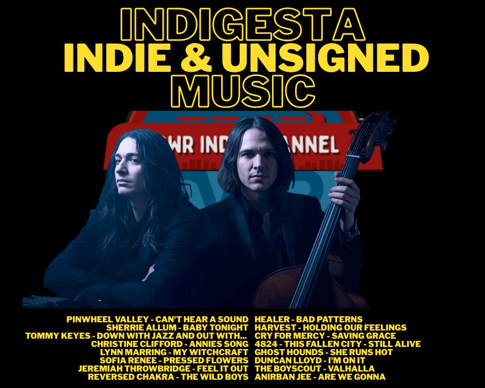 catorwebradio's tweet photo. #NowPlaying #Indigesta
#PinwheelValley
@composerwriter
#ChristineClifford
#Lynn Marring
@JThrowbridge
#ReversedChakra
@thisishealerUK
#Harvest
@CryForMercy3 via @Emma_Scott
#GhostHounds
Duncan Lloyd
#TheBoyscout
#AnirbanJee https://t.co/fFTi9rWdUH