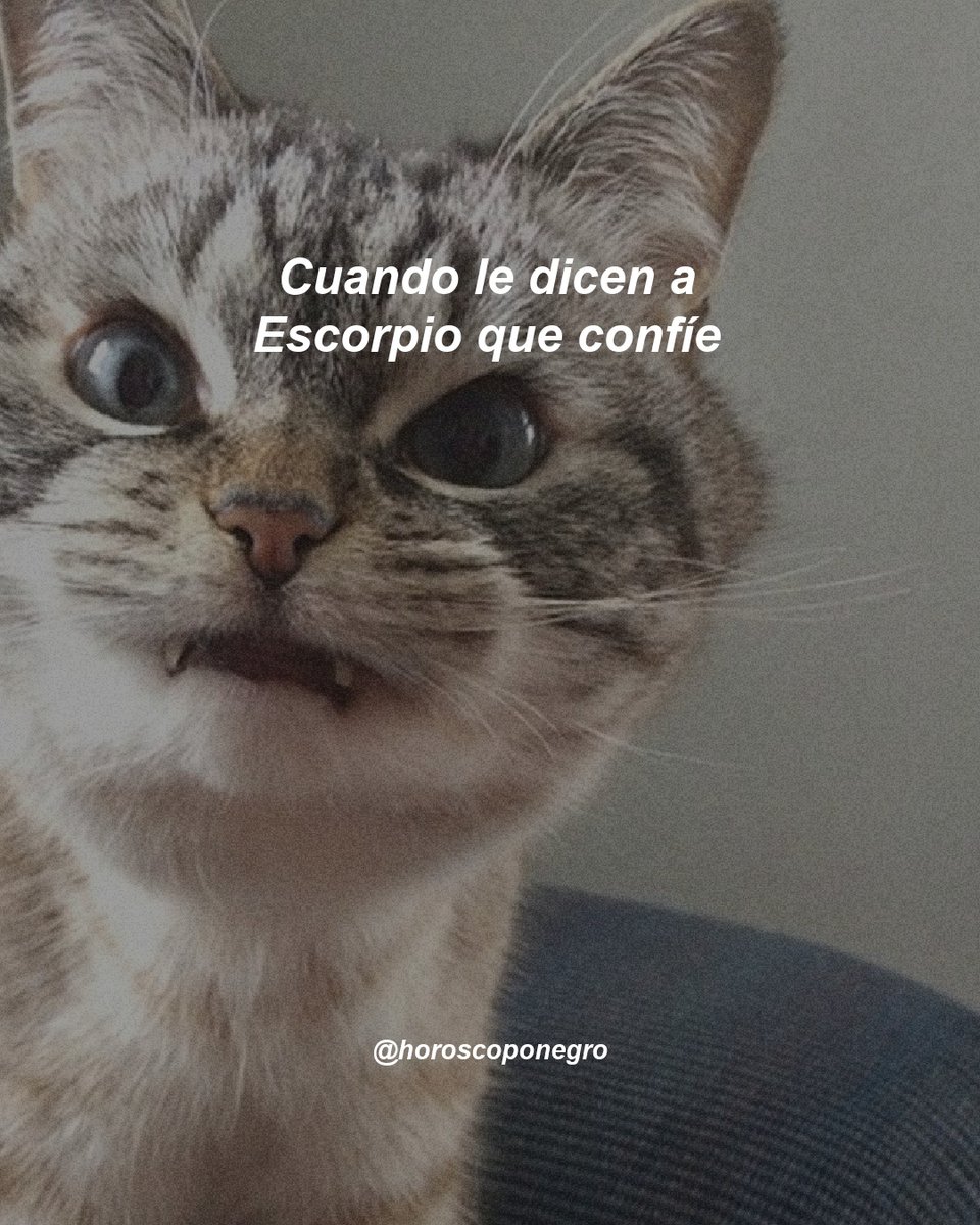 Dicen esa frase y automáticamente se nos cruza el cable 😂