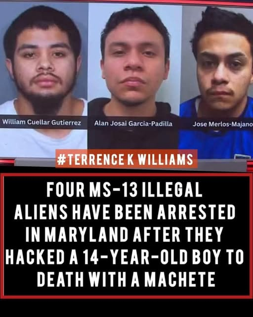 SaltyGoat17's tweet photo. This is what they're protecting and protesting for!!

DEPORT THEM ALL!!

NO MERCY!!! https://t.co/qX8ebulr5j