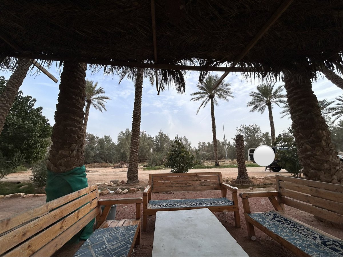 HananAlHumaid's tweet image. يغلب الأيام من يرضى بها *

🍃✨