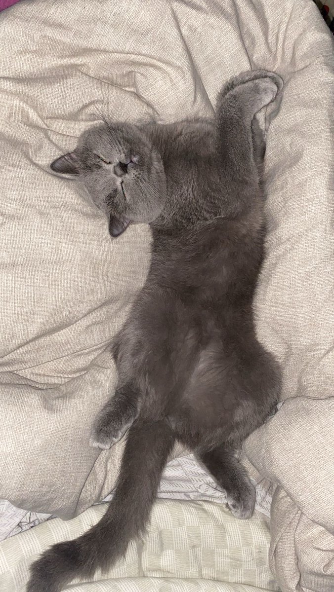 ssudecavus's tweet photo. @bitkinbiriisi ask cocugum benim yaaa🫶🏻😽💗 https://t.co/ADDhU2uSCl