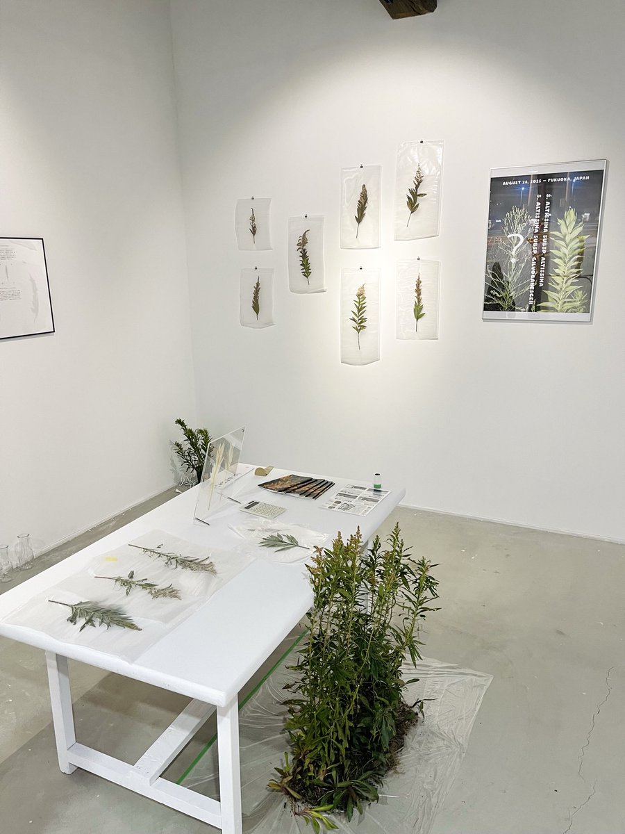 abelest ⊂ 足の踏み場 tweet media