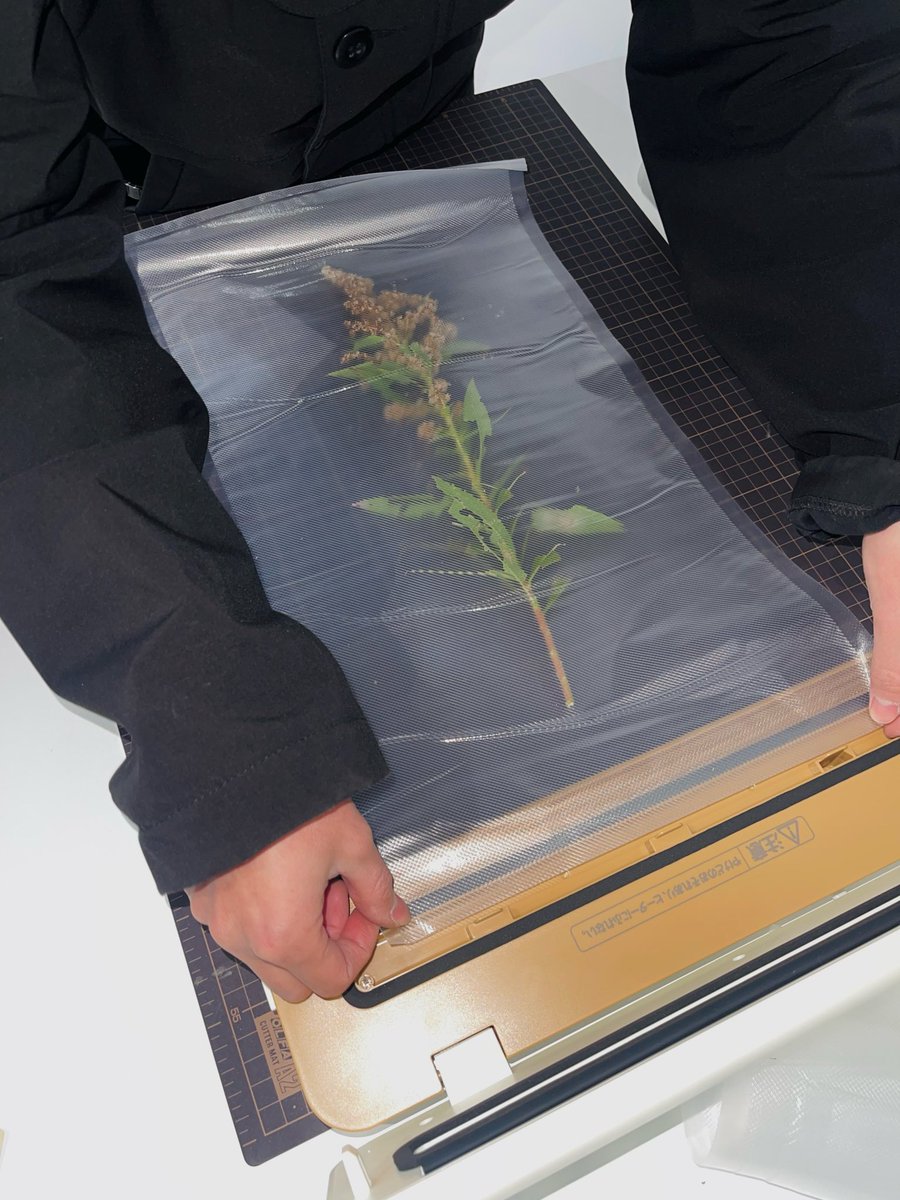 abelest ⊂ 足の踏み場 tweet media