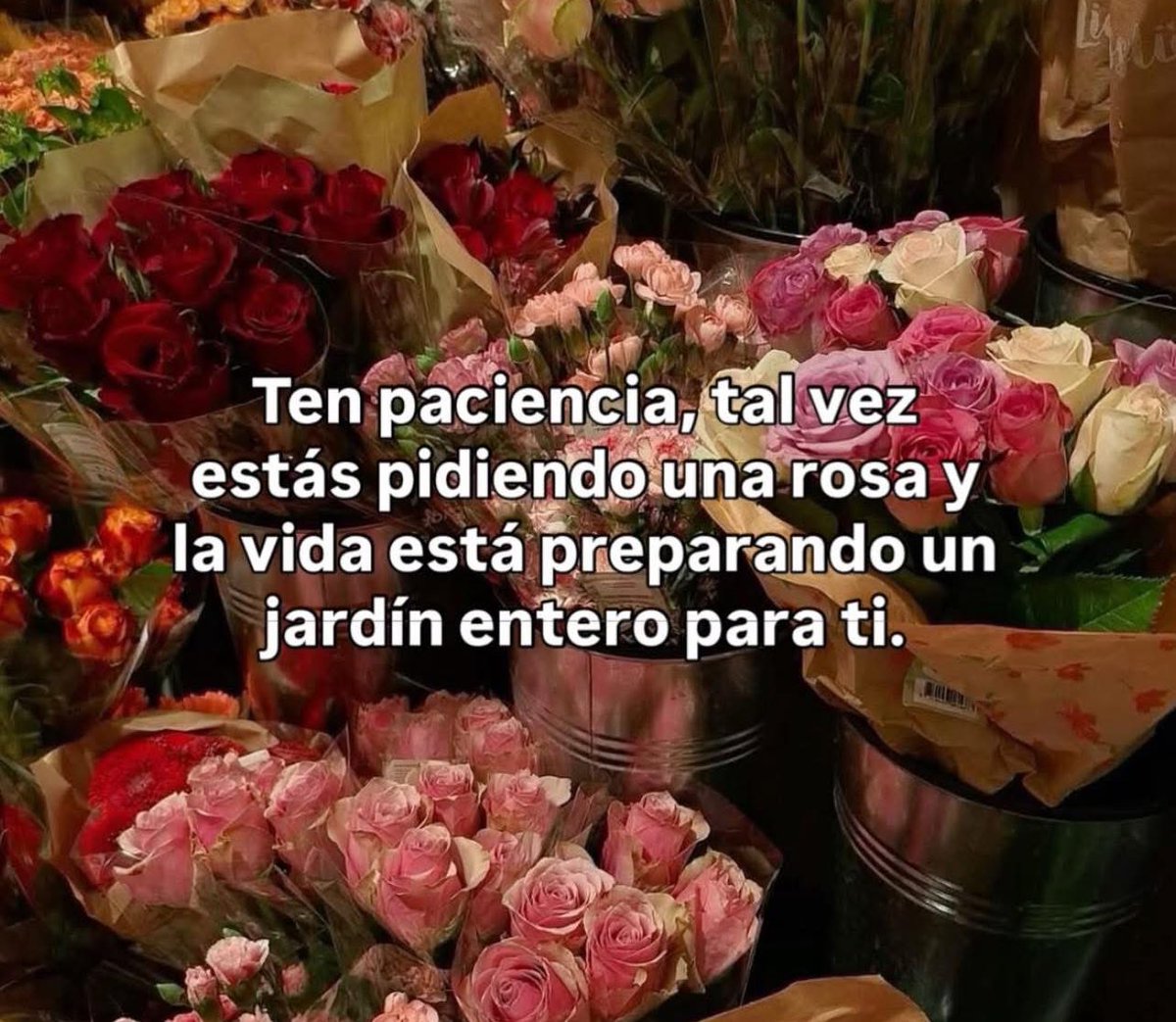 Zaira García Ramírez (@zairagarciar) on Twitter photo 