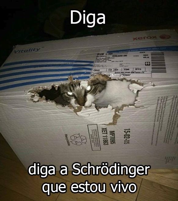 5Poder2's tweet image. Kkkkkk