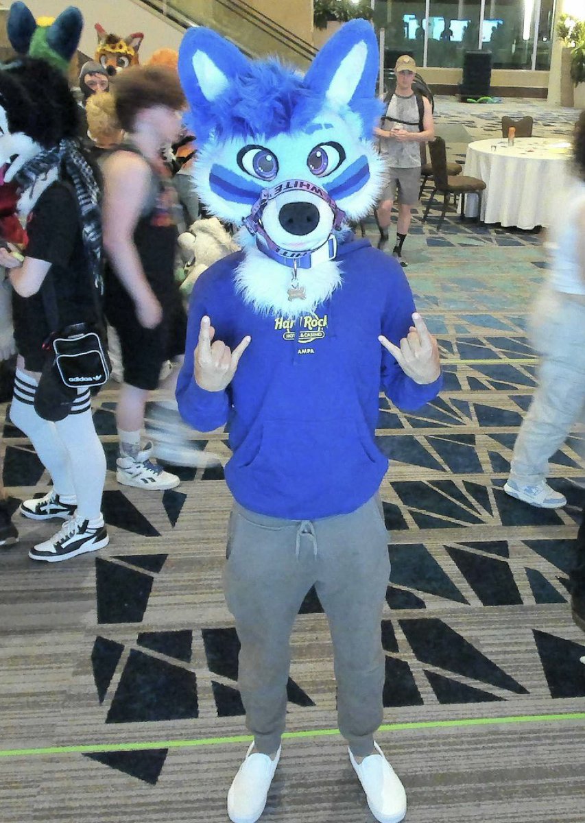 Shaltek 🩵 tweet media