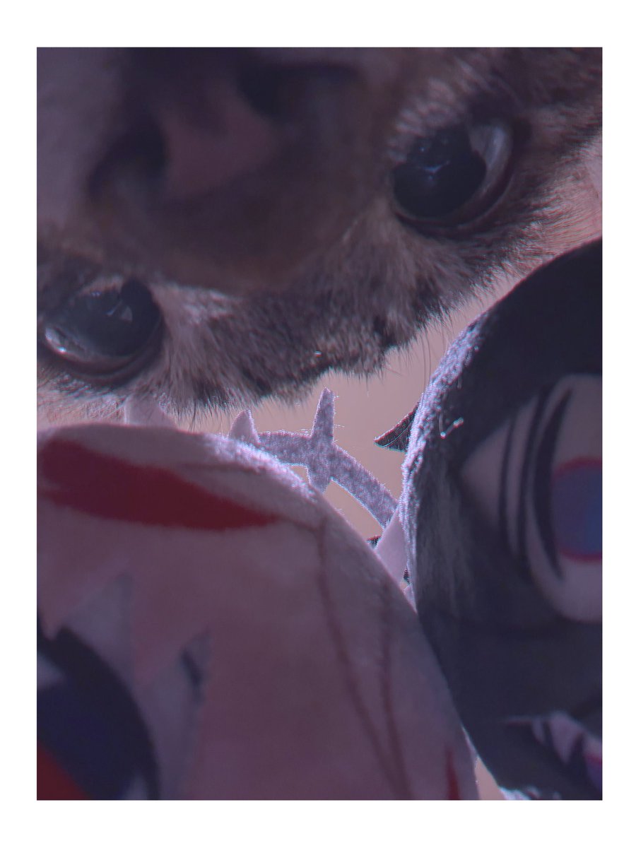 𝙔𝙀𝘼𝙃 tweet media