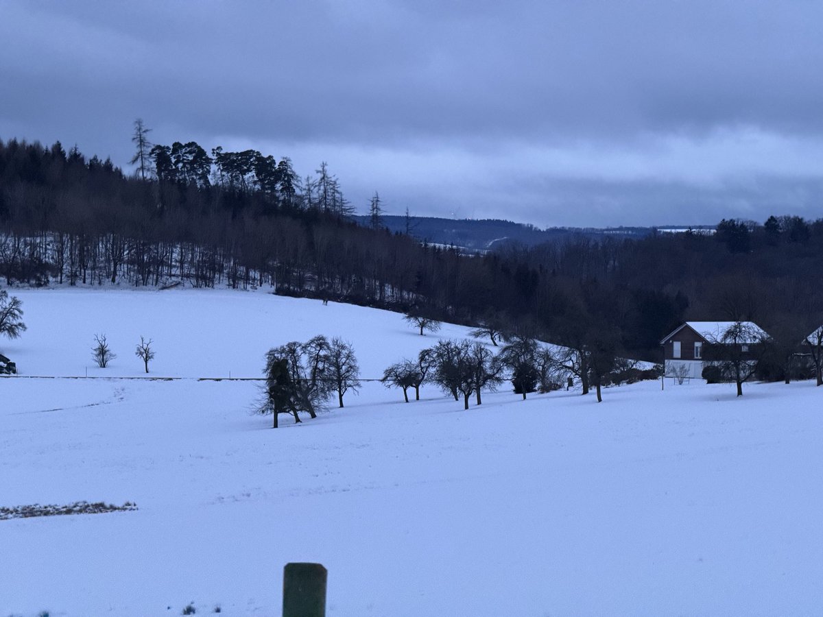 RealMadridSinFiltros🐆 tweet media