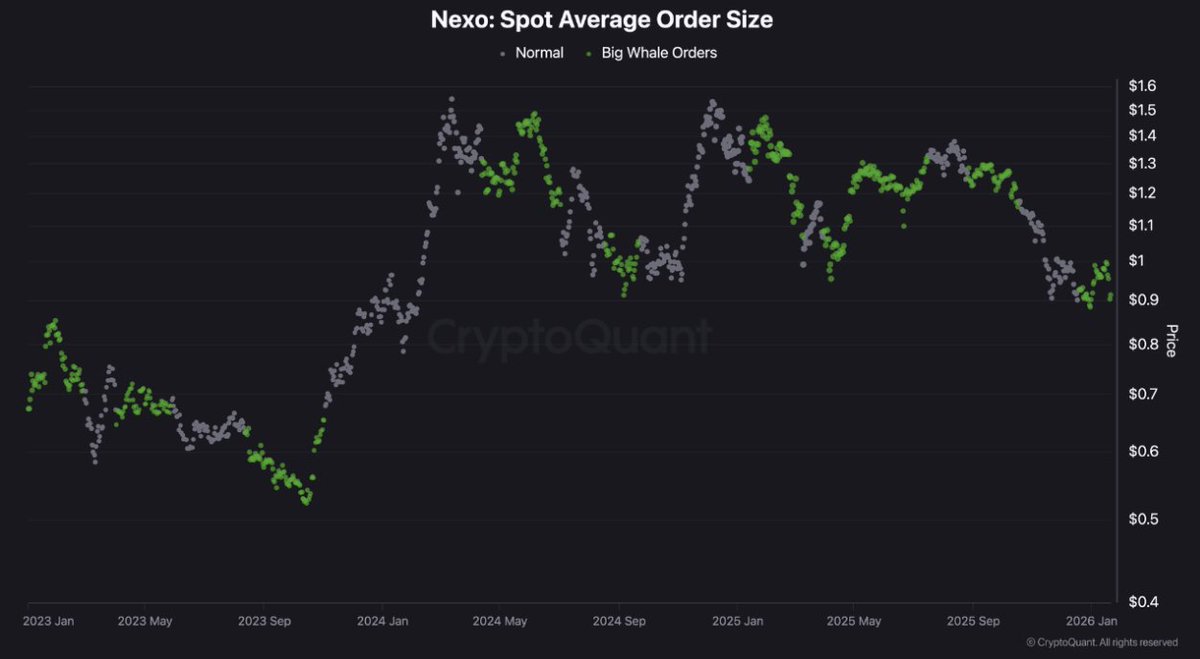 Timo Oinonen (@oinonen_t) / Posts / X