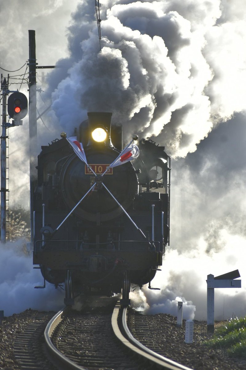 1月を写真4枚で振り返る