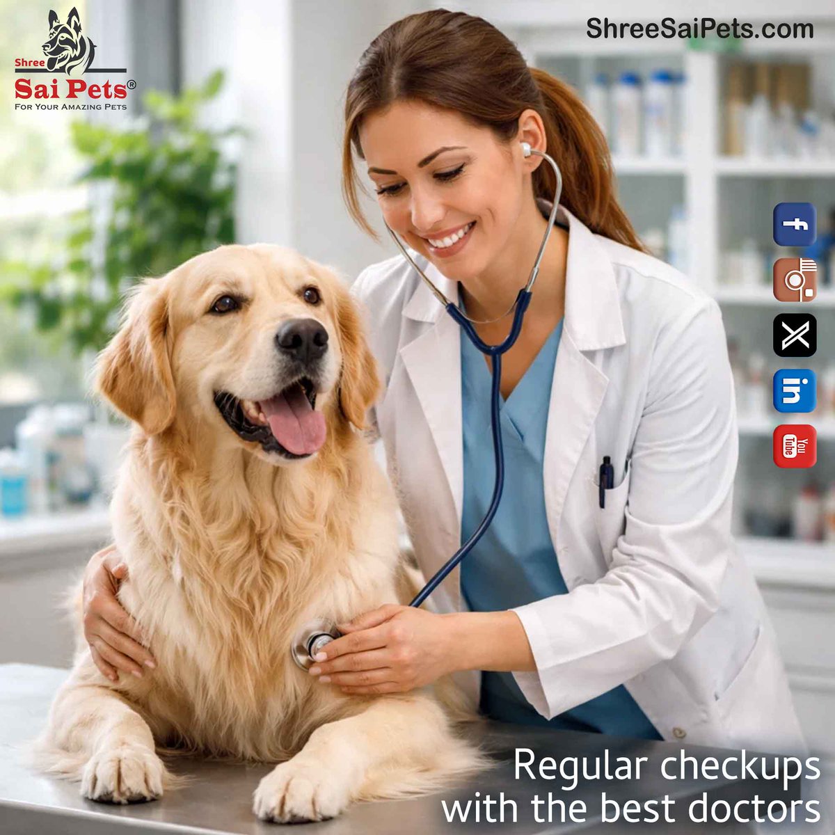 ShreeSaiPets's tweet image. A happy pet is a healthy pet and health starts with prevention.
Just like us, our furry friends benefit immensely from regular checkups with the best doctors

#PetHealth #RegularCheckup #VeterinaryCare #PetCare #PreventiveCare #PetWellness #ShreeSaiPets #BestDoctors #HealthyPets