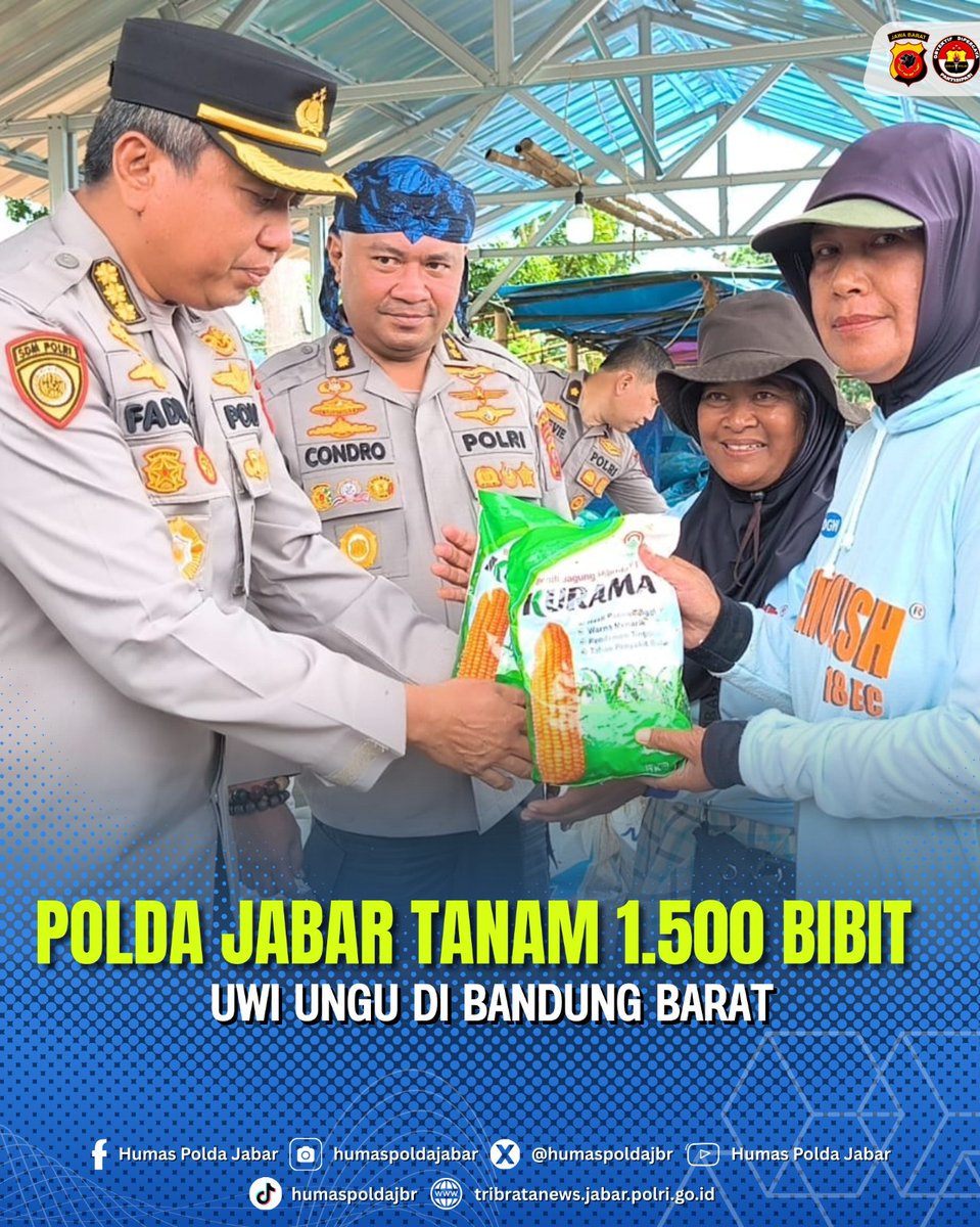 Polda Jabar Tanam 1.500 Bibit Uwi Ungu di Bandung Barat

Biro Sumber Daya Manusia (SDM) Polda Jawa Barat melalui program ketahanan pangan melaksanakan penanaman uwi ungu seluas 1 hektare di Kecamatan Cikalong Wetan, Kabupaten Bandung Barat.