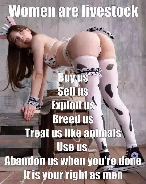 SoulHarvest1994's tweet photo. LIKE/RT THIS IF UR LIL DUMB SLUTTY CUNT NEEDS DADDY'S THREATS.. SEND DMS I'LL RUIN UR STUPID WET FUCKTOY CUNT! HAHA EXTRA POINTS IF UR A USELESS FEMINIST WHORE! LOVE DEGRADING CUNTS #misogynykink #rapethreats #abusekink #rapekink #cnc #agegap #nsfwtwt #rapebait #daddykink #slut https://t.co/b15uRAUcR9