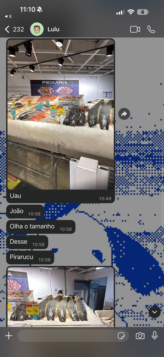 joao 𖡎 tweet media