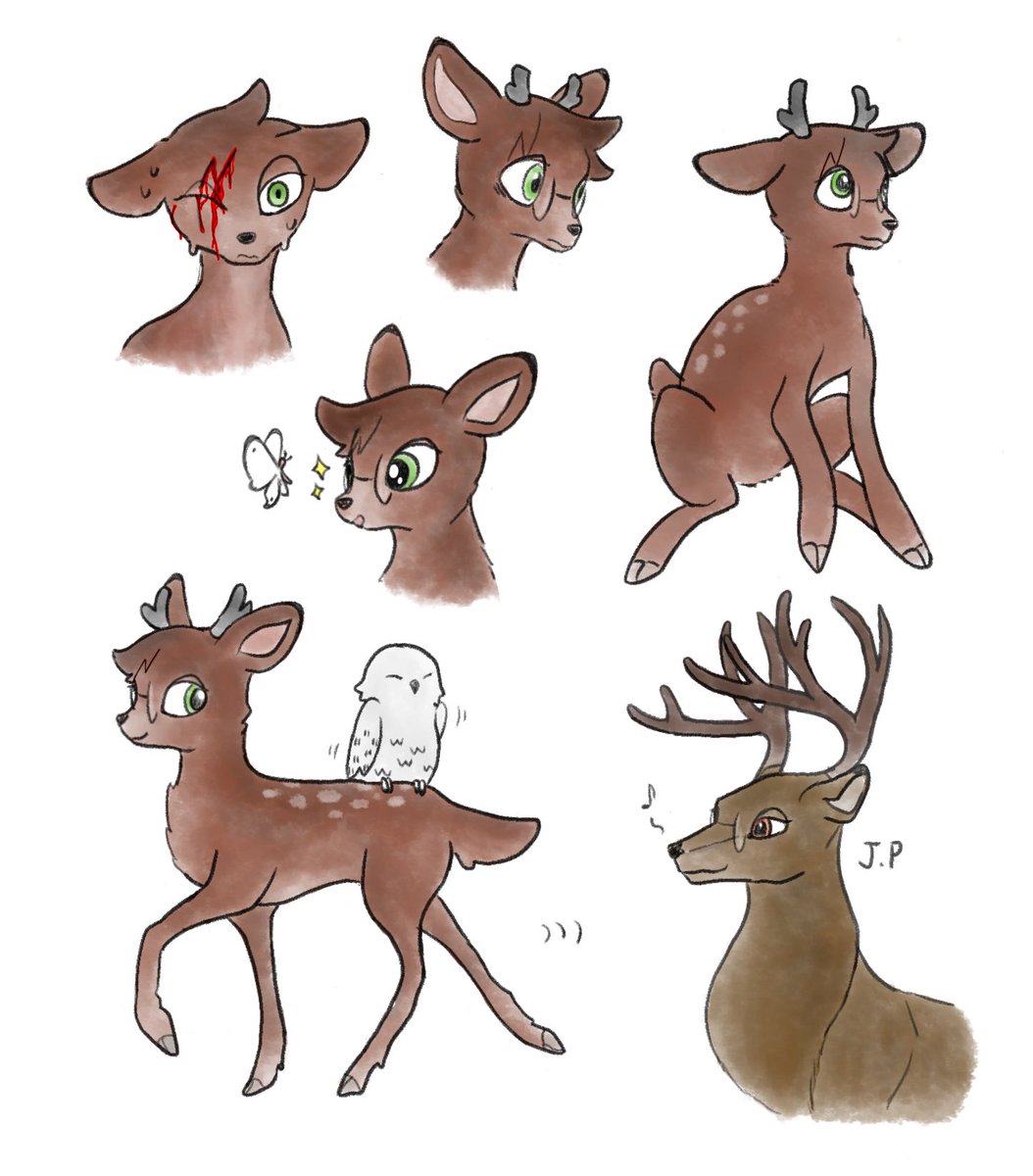 볼디디디 tweet media