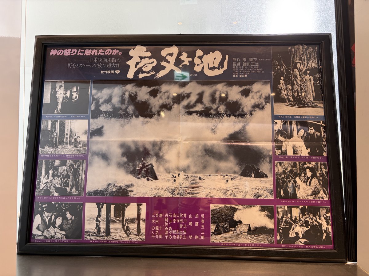 樋口尚文＝『大島渚全映画秘蔵資料集成』神保町「猫の本棚