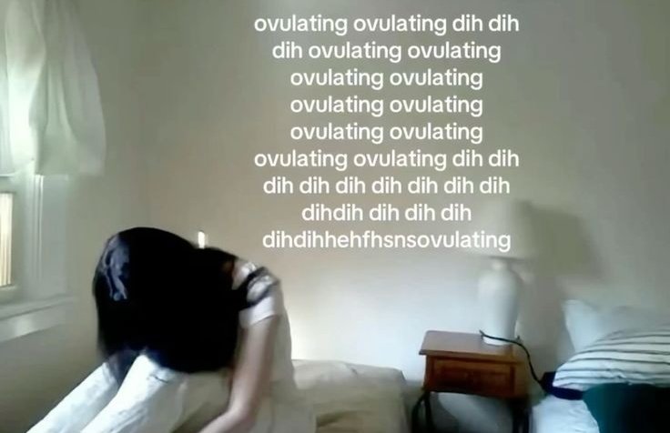 Bélinna. (@wildgaol) on Twitter photo 