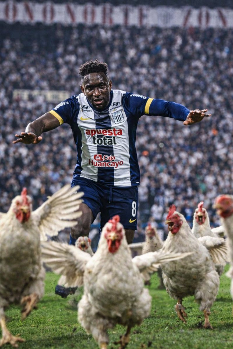 Así las tiene desde ayer y eso q son tricampeonas 🐔